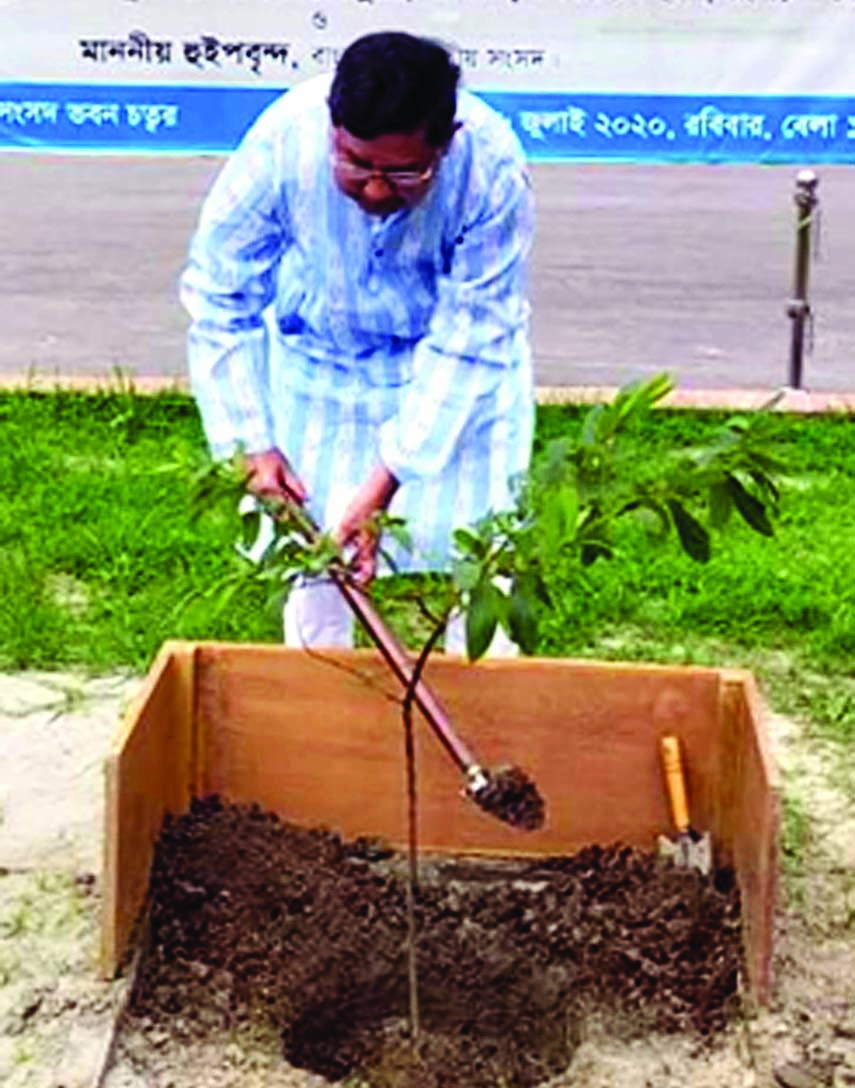 Textiles and Jute Minister Golam Dastagir Gazi plants saplings on the premises of Jatiya Sangsad (JS) Bhaban on Wednesday in observance of birth centenary of Father of the Nation Bangabandhu Sheikh Mujibur Rahman.