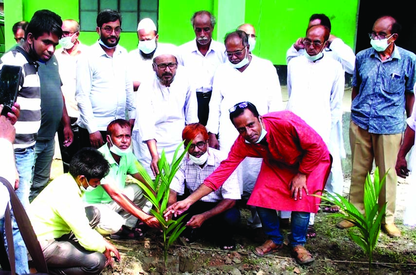 Additional Secretary of the Ministry of Public Administration Md Siddikur Rahman plants tree sapling on the Chandrakhoir Govt. Primary School campus at Bagatipara in Baraigram of Natore district on Monday. Bagatipara Upazila Chairman Md Ohidul Haque Gokul