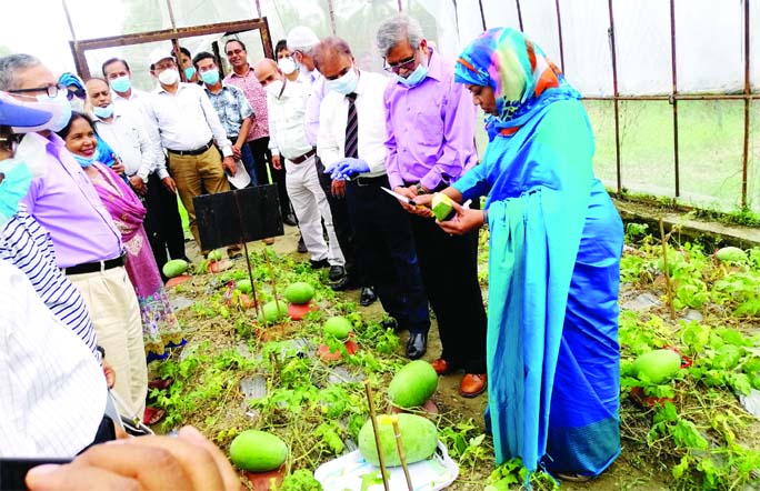 Executive Chairman of the Bangladesh Agricultural Research Council Dr. Sheikh Mohammad Bakhtiar and Director General of BARI Dr. Md. Nazirul Islam visit BARI's Olericulture Division and Regional Horticultural Research Center, Lebukhali in Patuakhali on