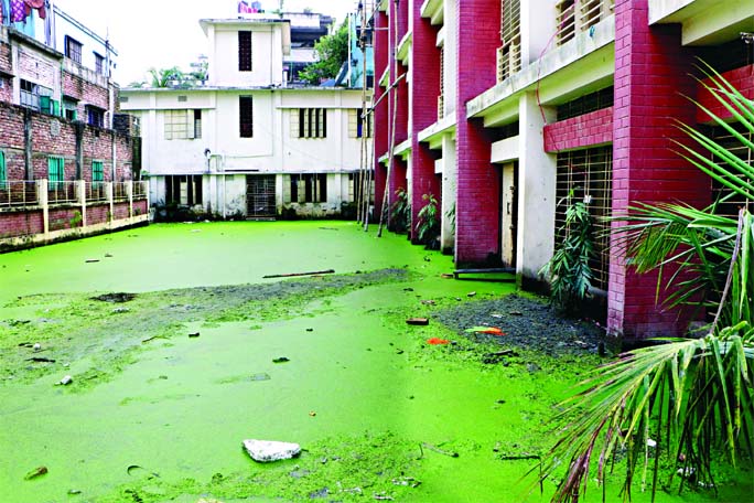 Moss evolves at the ground of the Kajlapar Govt High School in the capital as the educational institution remain shut for the last six months due to Covid-19 pandemic. This photo was taken on Saturday.