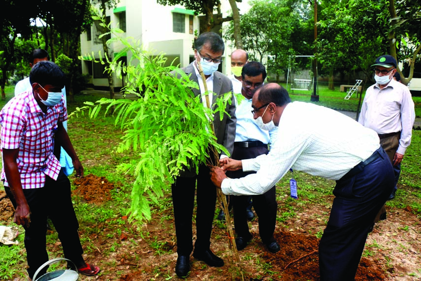 Chairman of Bangladesh Council of Scientific & Industrial Research (BCSIR) Prof Dr. Aftab Ali Sheikh inaugurates "Mujib Chattar"" planting a sapling marking Mujib Year-2020 at the Leather Research Institute (LRI) of BCSIR in Savar on Monday. Member (Fina"