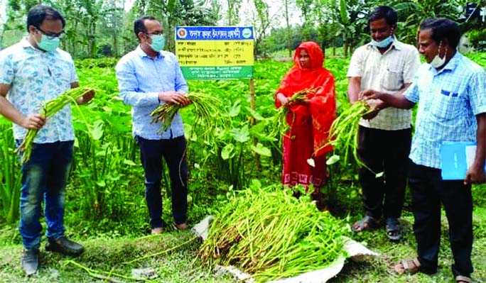 Md. Anwar Hossain, Upazila Agriculture Officer in Mithapukur Upazila of Rangpur district, visits Kandal Crop Development Project in the upazila.