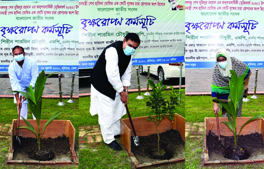 Members of the Eleventh Parliament plant saplings at the Jatiya Sangsad Bhaban premises on Tuesday marking the Mujib Year-2020. JS photo