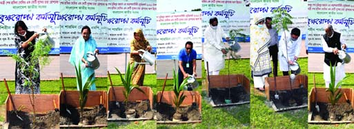 Members of the eleventh Parliament plant saplings on the Jatiya Sangsad Bhaban premises on Friday marking Mujib Year-2020.