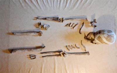 View of the skeletal remains of the so-called 'Lady of Bietikow,' in Berlin, Germany.