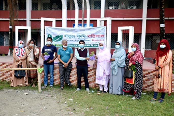 Entrepreneurs of the city have distributed winter vegetable saplings among tree lovers at the initiative of Sabuj Krishi Barishal. Vice-Principal of Government Barisal College Professor Latifa Akhter, journalist Sushant Ghosh, headmaster of Nalchira Gover