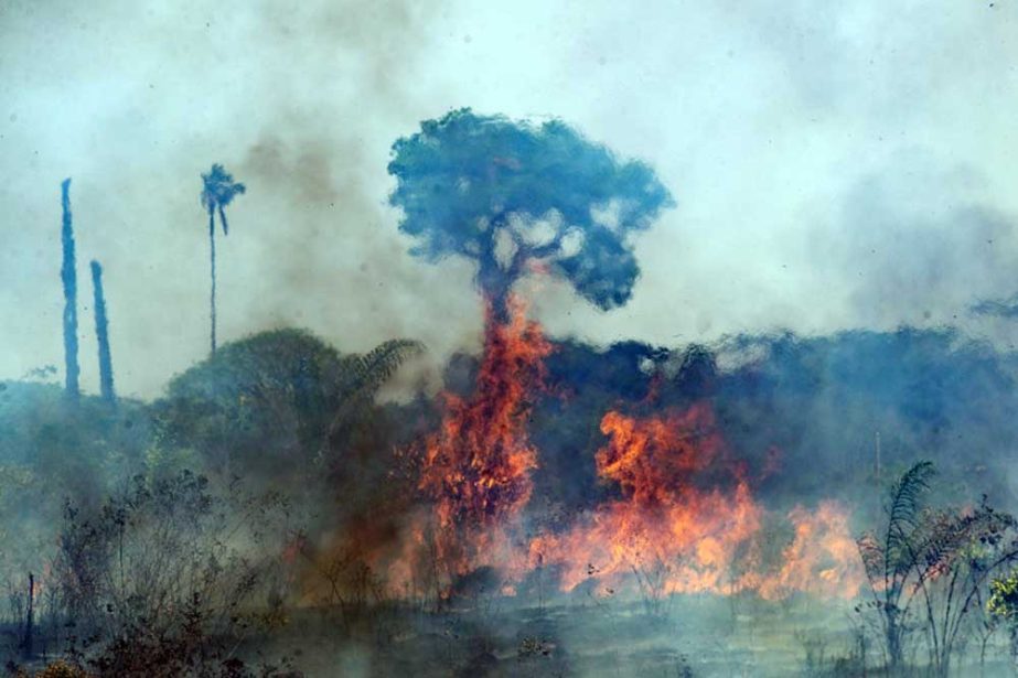 Destruction of the Amazon rainforest rose to 11,088sq km (2.7 million acres) in 2020.