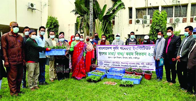 BARI Director Dr. Abeda Khatun inaugurates flower saplings, bulbs and seedlings distribution programme among the farmers as chief guest at the Horticultural Research Center premises on Sunday.