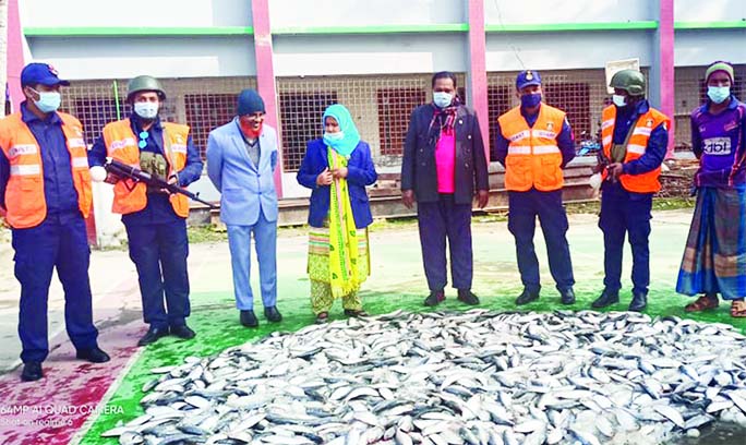 Members of Bangladesh Coast Guard seize 320 kilograms of jhatka (juvenile hilsa) from Bekutia Ferry Ghat in Kawkhali upazila of Pirojpur district on Monday night.