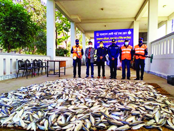 Bangladesh Coastguard members led by Chandpur Station Commander Lt M Asaduzzaman in a drive on early Saturday seized 63 maunds of Jatka from 3 Dhaka bound passenger launches early yesterday on Meghna river near Chandpur launch ghat.