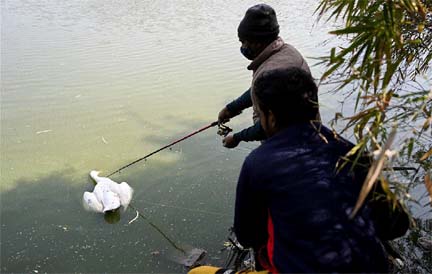 A caretaker prepares to collect a dead goose from the waters of Sanjay Lake, in New Delhi on Sunday.