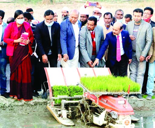 The Deputy Commissioner (DC) of Feni Md Wahiduzzaman inaugurates paddy sapling plantation by a modern rice transplanter at a field in Kalidah Union of Feni Sadar Upazila on Tuesday.