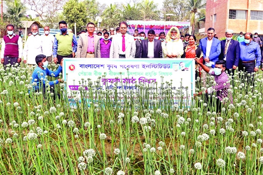 The Regional Spices Research Center, Gazipur of Bangladesh Agricultural Research Institute (BARI) has arranged a farmer's Field Day on year-round cultivable BARI Onion-5 on Tuesday. Senior Scientific Officer of the Regional Spices Research Center, Gazipu