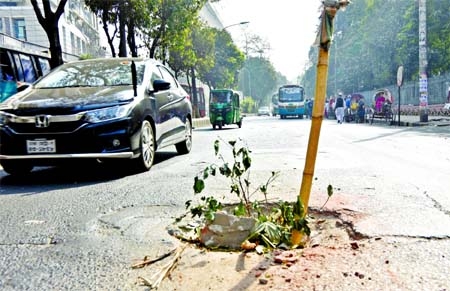 Vehicles ply on a busy road taking risks being cautioned by selling up a bamboo in the middle of a hole in front of Aziz Super Market of Shahbagh area in the capital on Friday.