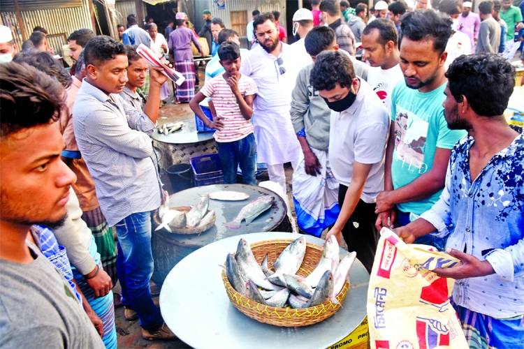 Wholesalers throng the large fish market of Mawa in Louhagonj upazila of Mushiganj district on Monday from different parts of the country for purchasing fish .