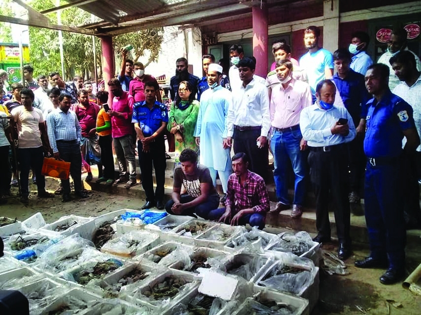 A mobile court sentenced two transport workers to six months imprisonment for transporting jelly mixed shrimp to Barisal market.