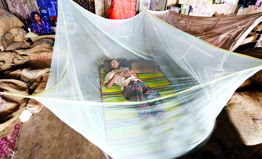 A man is seen on Thursday taking a nap hanging a mosquito net even in the mid-day in city's Karwan Bazar as mosquito menace hits city dwellers.