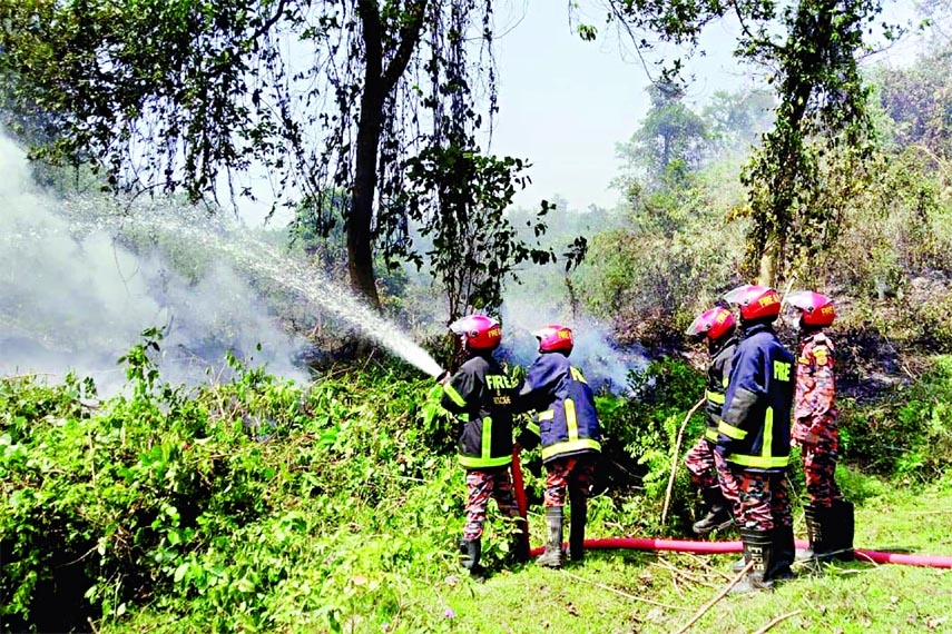 Fire service officials trying to douse a fire that broke out at the Lawachara forest in Moulvibazar on Saturday.