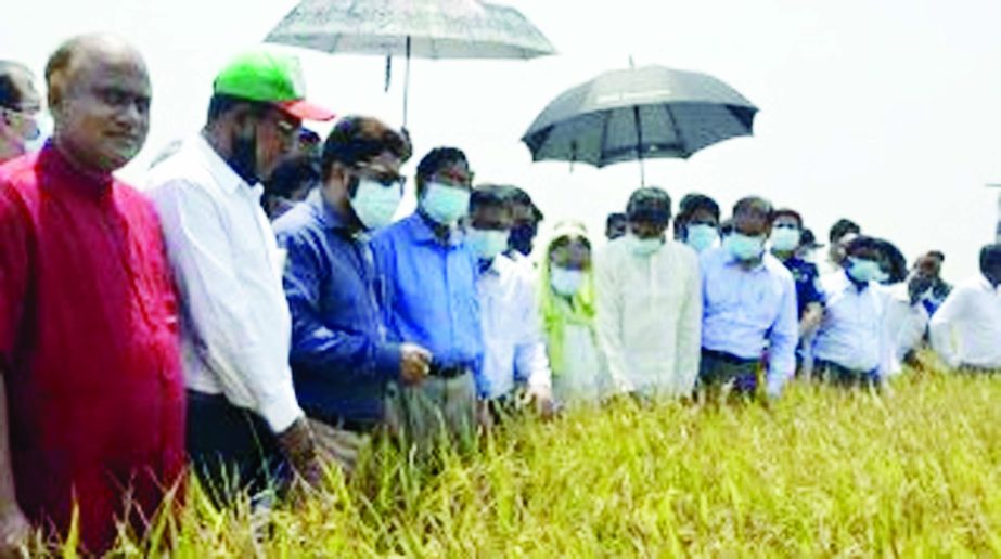 Agricultural Minister Abdur Razzak MP visits the paddy fields of Mitamoion Haor in Kishoreganj on Sunday while Rejowan Ahamed Tofique MP, Noor Mohammed MP, Senior Agricultural Secretary Md. Mesbaul Islam, BADC Chairman Dr. Amit Sarker, DC Mohammed Shamim