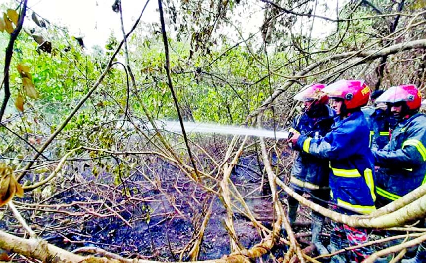 Fire fighters spraying water to extinguish fire in the Sundarbans on Tuesday
