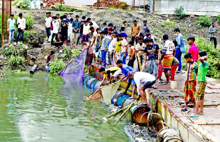 People catch fish at Hatirjheel in the capital on Tuesday as fishes washed away from different water bodies filled the jheel.