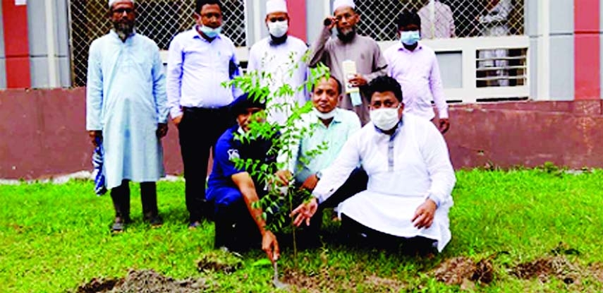 In response to the call of the Prime Minister, Chandpur Jilani Chisty College organises a Tree Plantation Programme on Wednesday. Chandpur Narcotics Control Directorate's Asst Director AKM Didarul Alam and Sadar Model Thana's OC Abdur Rashid are see