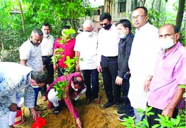 Former Chattogram city mayor AJM Nasir Uddin, chairman of Central Cooperative Bank Ltd, inaugurates a Tree Plantation Program in the port city on Sunday.