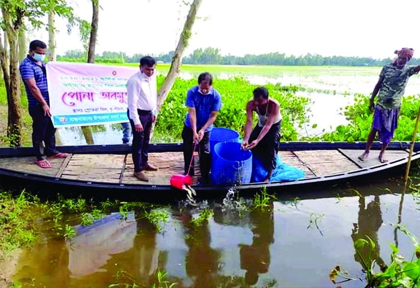 Sirajganj District Fisheries Officer Shahed Ali releases tow lakh different fish fries in a pond of the beneficiaries of Chatra Beel in Bri-Pachan village of the upazila on Wednesday.
