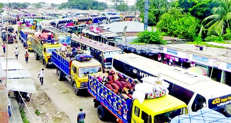 Hundreds of vehicles are seen get stuck in a long tailback at Daulotdia ghat in Rajbari district on Friday due to pressure of sacrificial cattle-laden trucks which are coming towards Dhaka from southern parts of the country.