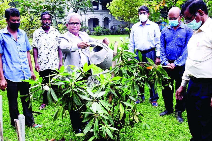 Vice-Chancellor of Dhaka University Dr. Akhtaruzzaman waters a sapling planning on the premises of ' VC's Building' on Monday marking centenary of the university.