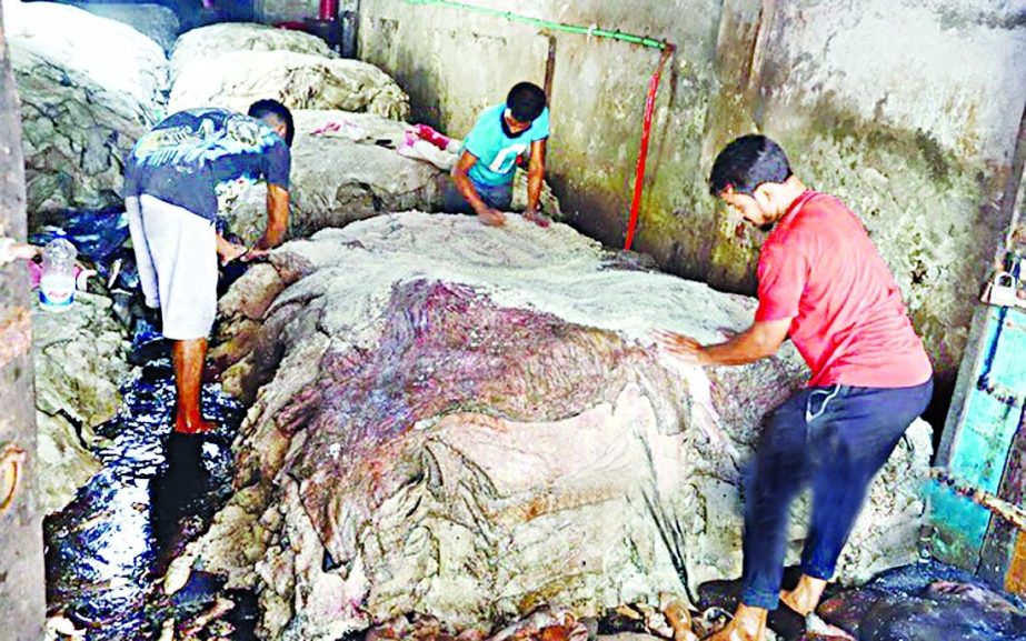 Workers apply salt on cattle rawhides for preservation at Posta in Old Dhaka's Lalbagh on Saturday.