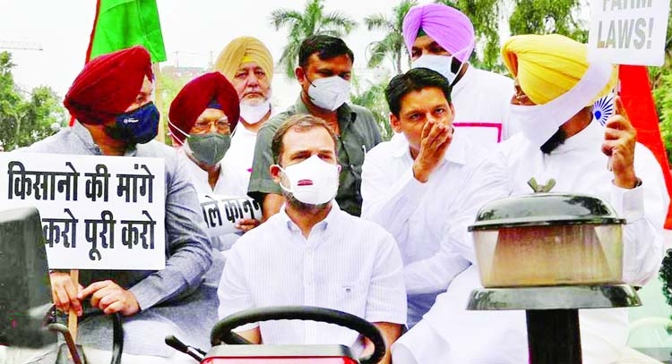 Rahul Gandhi reaches Parliament on tractor in New Delhi on Monday to protest farm laws.