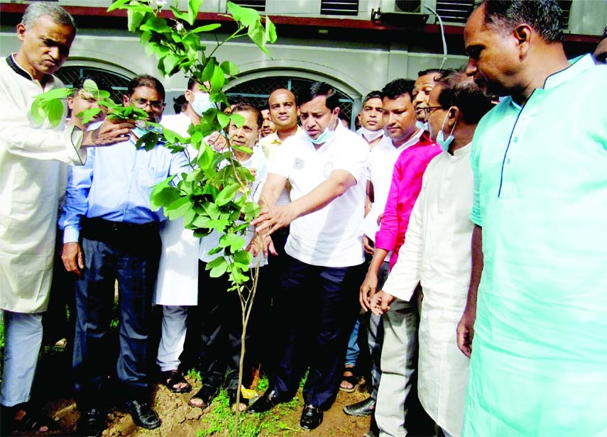 Adv. Mohammad Jahangir Alam, mayor of Gazipur City Corporation and Chairman, Governing body of Kazi Azimuddin University College, plants a sapling on the college campus on Monday while Principal of the college Harun-or-Rashid Hawladwer, other Governing bo