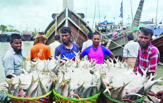 After the end of 65-day government restrictions, fishermen cast their nets in the sea and hilsa is being caught in large numbers. Photo was taken from the Bakalia Fishery ghat area on Marine drive road adjoining Karnaphuli river in the port city on Th