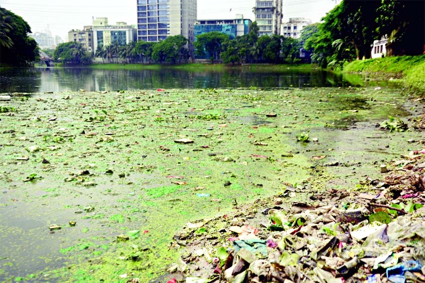 Badda-Gulshan Lake in the capital turns polluted due to indiscriminate dumping of waste and rubbish by people. The photo was taken yesterday.