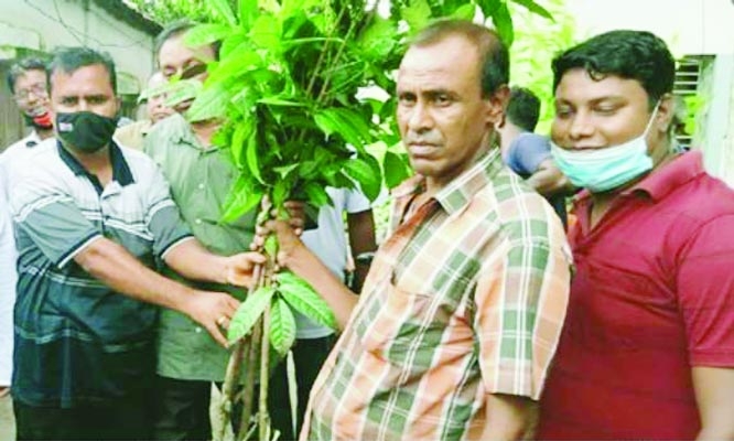 On the occasion of Mujib Year, tree saplings were distributed among 270 Mahadevpur farmers of Naogaon on Thursday with initiative of Upazila Krishok League.