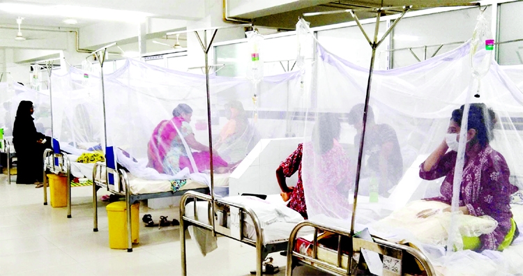 Dengue patients covered with mosquito curtains rest inside the Medford Hospital in the capital on Friday.