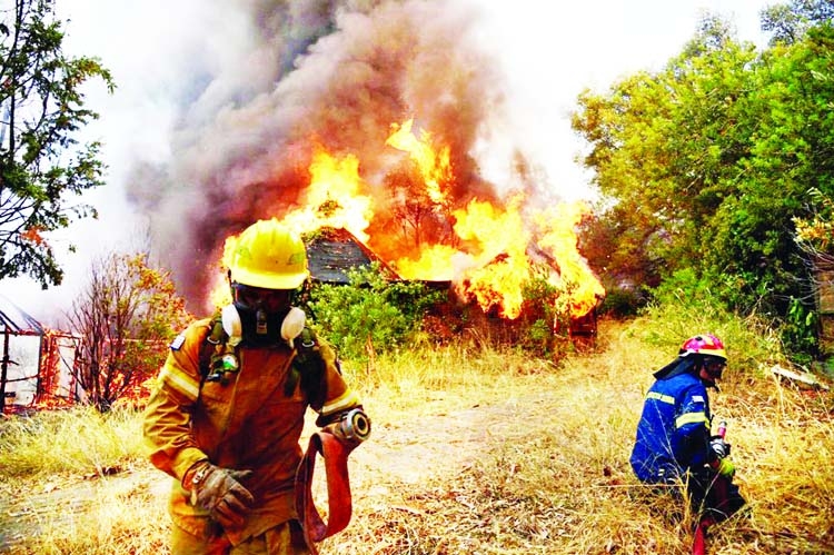 Firefighters work on a wildfire, in Labiri, near Patras, Greece.