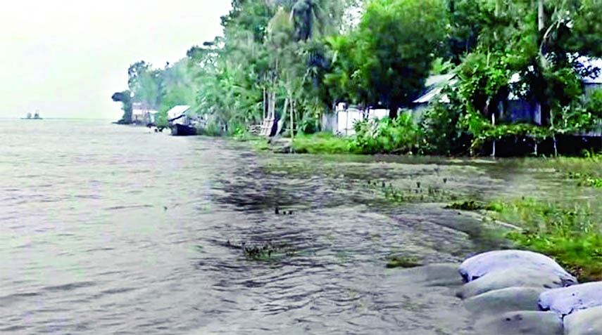Jamuna, Dholeswari and Jhinai Rivers flow over danger point in Tangail on Saturday. As a result, low-lying areas inundated making people water-marooned.