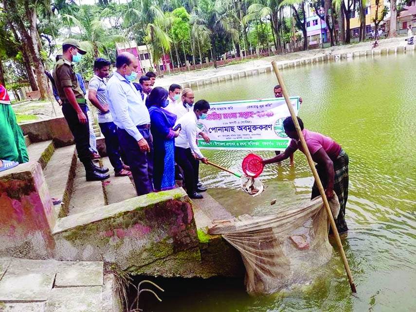 On the occasion of National Fisheries Week, Mymensingh Gafargaon UNO Md. Tajul Islam inaugurates a fish project by releasing native species of Rui, Katla and Mrigel fries in a pond in the upazila on Sunday. Assistant Commissioner (Land) Kaberi Roy, Senior