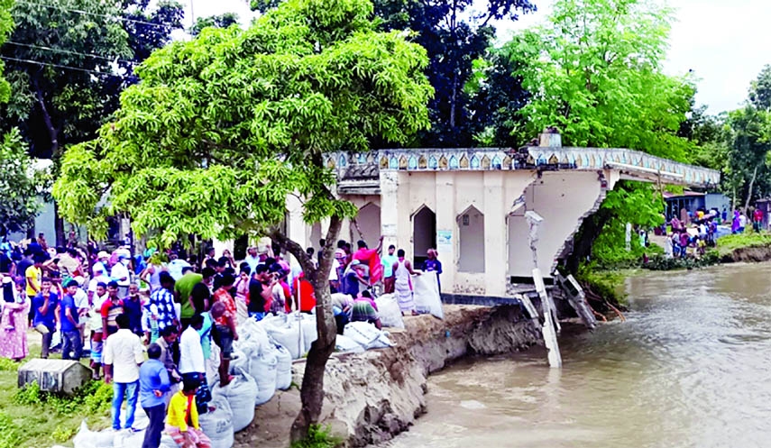 Daulatdia ferry ghat (4) along with a mosque and several houses washed away by strong current of mighty river Padma.