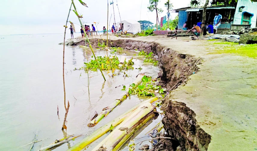 The Jamuna River erosion swallowed about 500 houses at Shahjadpur upazila of Sirajganj district on Thursday due to upsurge of water from upstream.