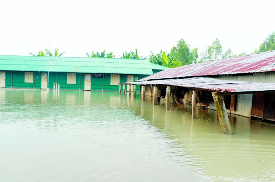 A school in Bogura district goes under water due to sudden flood. This photo was taken on Tuesday. NN photo