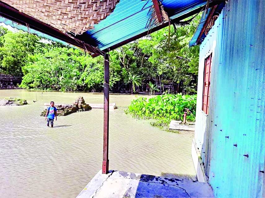 A boy wades through flood water to attend classes at Abul Hossain Government Primary School at Mehendiganj upazila in Barishal district on Tuesday. NN photo