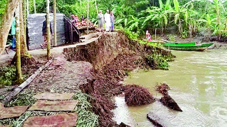 Households including mosques devoured by river erosion in Mirganj area of Babuganj upazila in Barishal on Tuesday. NN photo