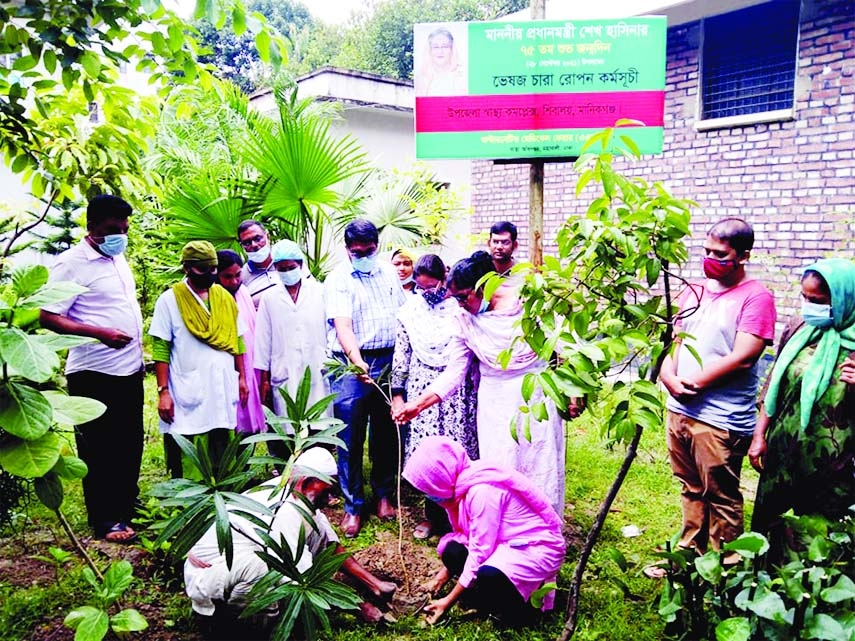 On the occasion of the 75th birth anniversary of Prime Minister Sheikh Hasina, 75 medicinal trees were planted at the initiative of Shibalaya Upazila Health and Family Planning Office under the leadership of UHFPO Dr. Asif Iqbal.