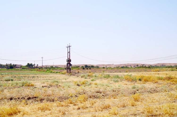 Agriculture lands near Baiji, Iraq lost its fertility. Crying Iraq for water.