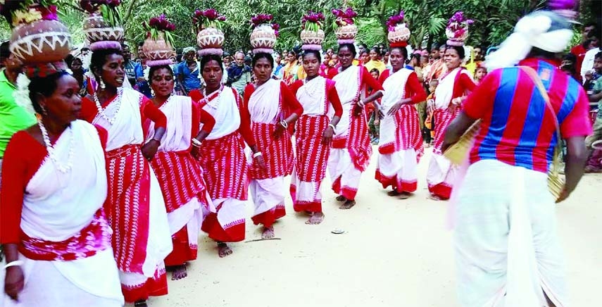 The traditional Saharai Festival of the Indigenous was observed on Saturday in the Khidirpur Adivasi Palli of Naogaon with the help of Caritas Asha Project.