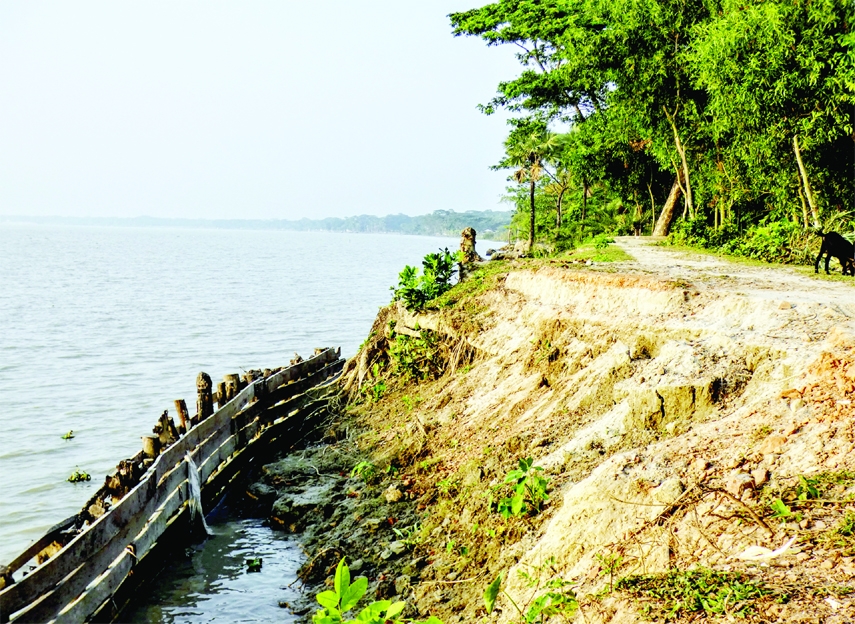 Borhanuddin (Bhola) : A view of collapsed dam on Tentulia River near the 2 Ward of Kutuba Union adjacent to the river in Borhanuddin upazila on Wednesday.