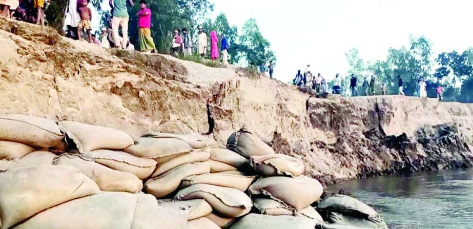 SIRAJGANJ: Erosion in the Jamuna River has taken a serious turn in the southern part of Chowhail Upazila in Sirajganj district. This snap was taken on Tuesday. NN photo